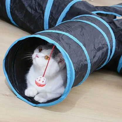 Tunnel pour chat noir à rayures bleu, chat près d’une balle rouge suspendue