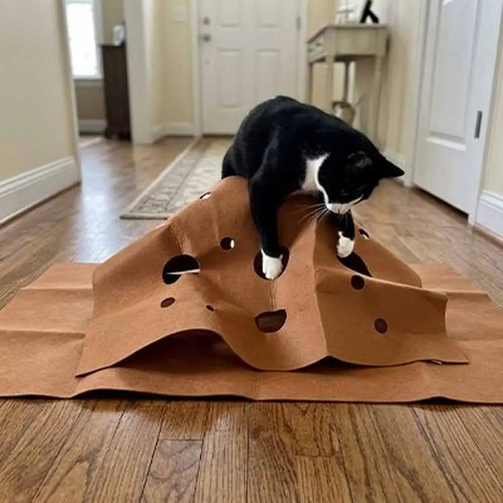 Tapis pour chat en carton brun plié avec trous ronds, chat noir et blanc dessus.
