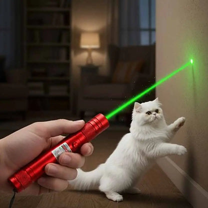 Stylo laser pour chat rouge, faisceau vert vers un chat blanc.