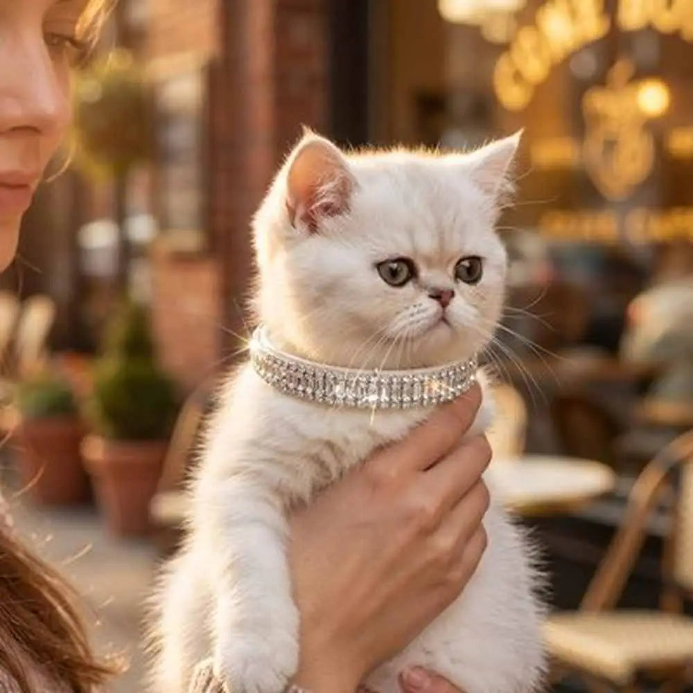 Collier de chat fin à strass et perles, tour du cou scintillant.