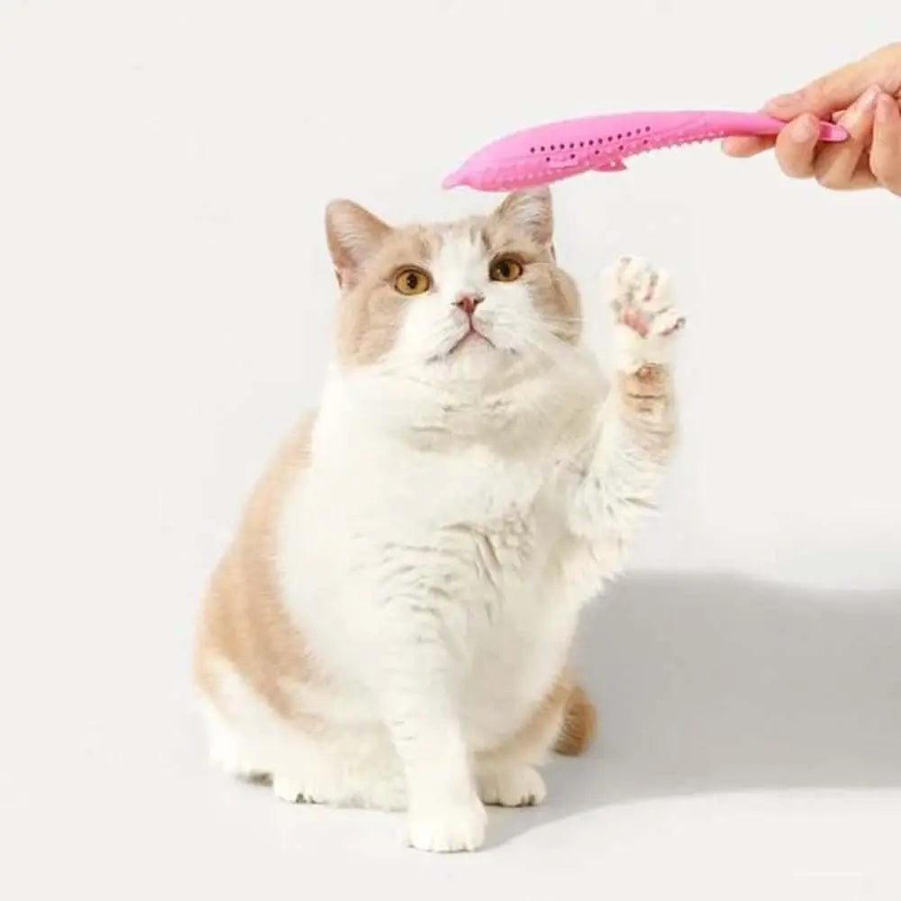 Jouet pour chat Instinct+ : poisson rose tenu par une main, forme de poisson