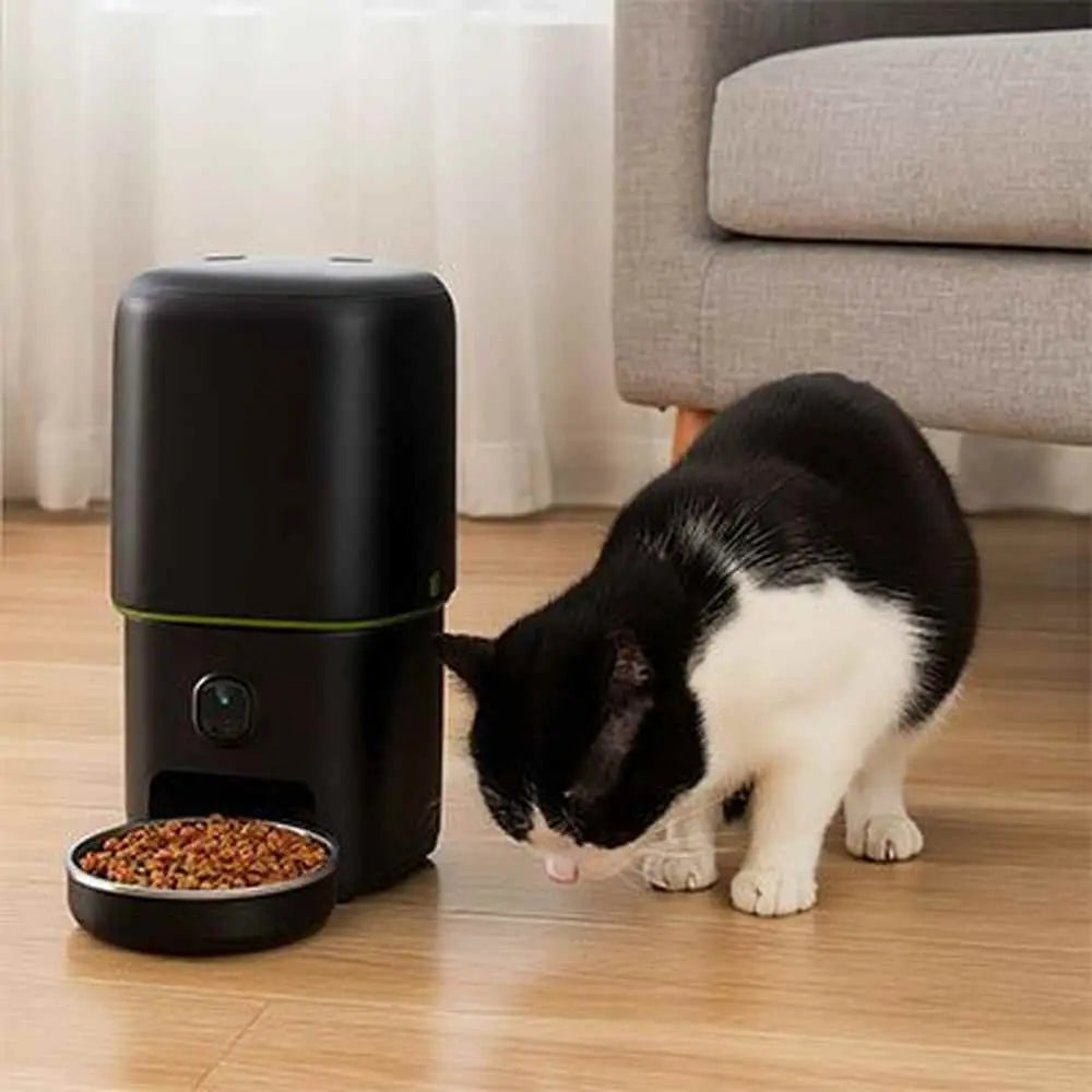 Distributeur automatique de croquettes pour chat noir avec bol de croquettes au sol