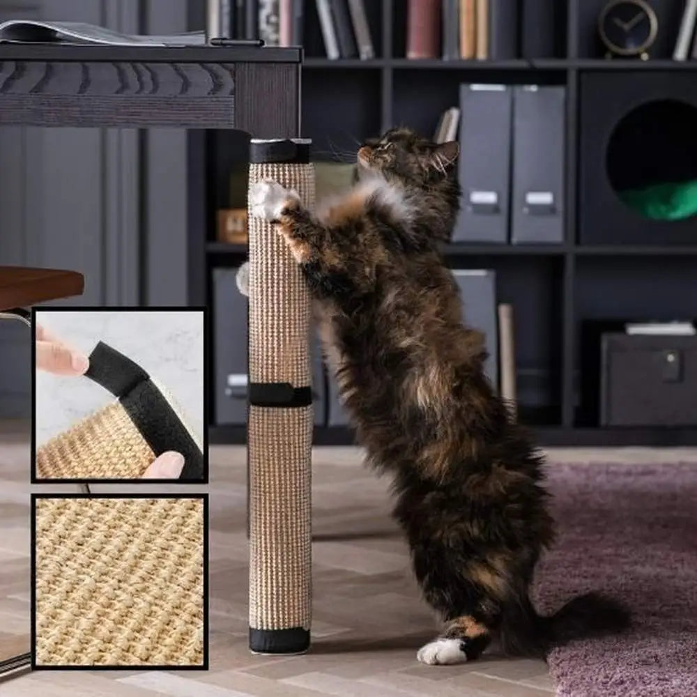 Griffoir pour chat sur poteau en sisal beige, embouts noirs, chat tigré