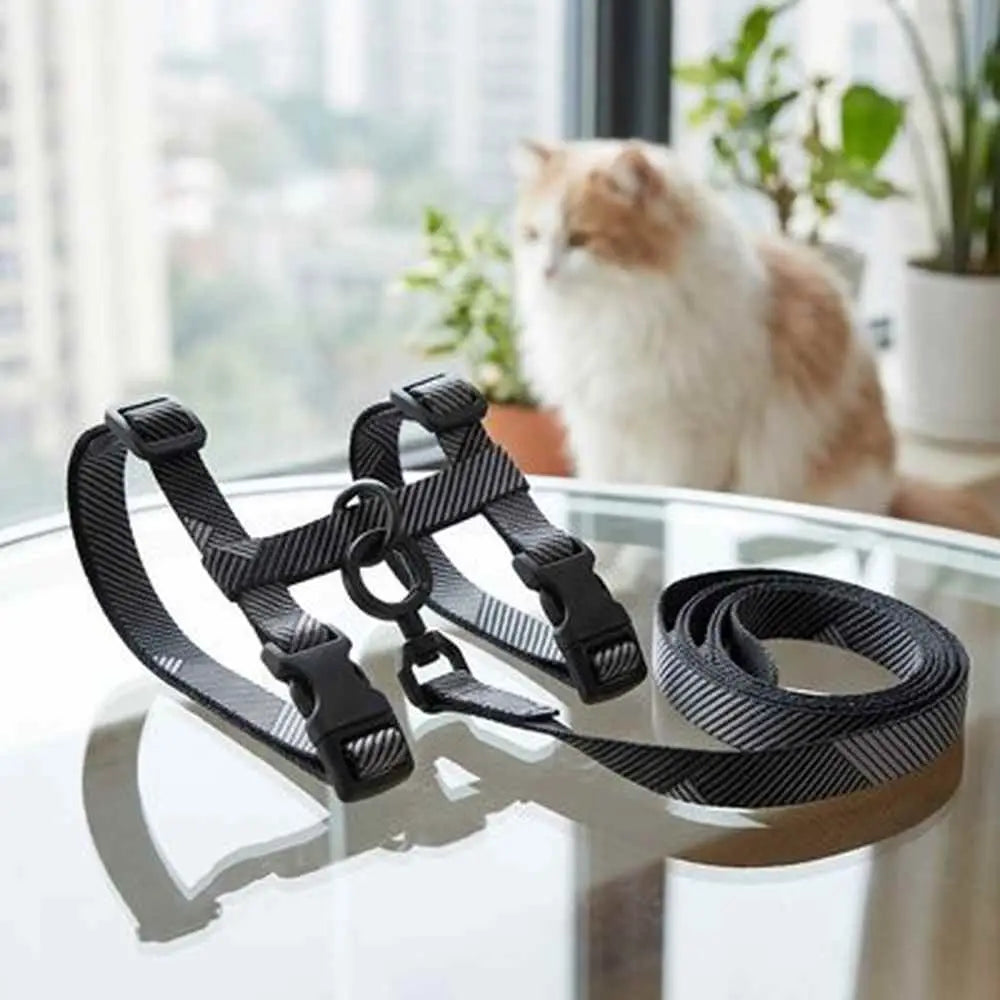 Harnais pour chat à motifs rayés noirs et laisse assortie, photo rapprochée