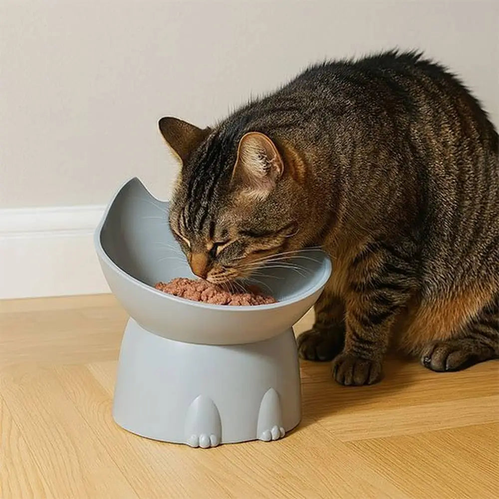 Gamelle surélevée pour chat Ergo blanche, bol rempli de croquettes sur socle.
