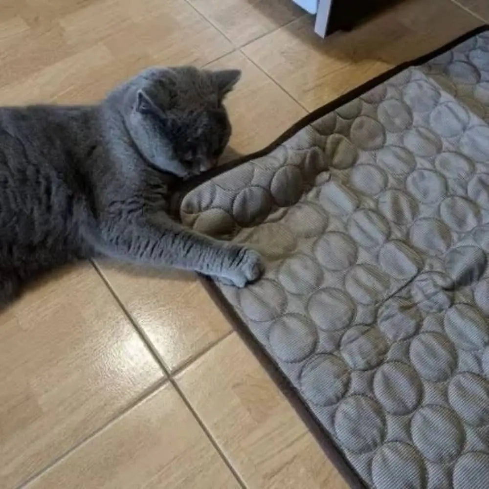Tapis rafraîchissant pour chat gris à relief, avec chat gris couché.
