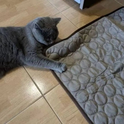 Tapis rafraîchissant pour chat gris à relief, avec chat gris couché.