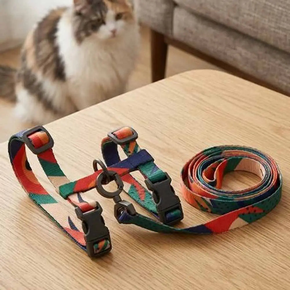 Harnais pour chat multicolore et laisse assortie sur table en bois