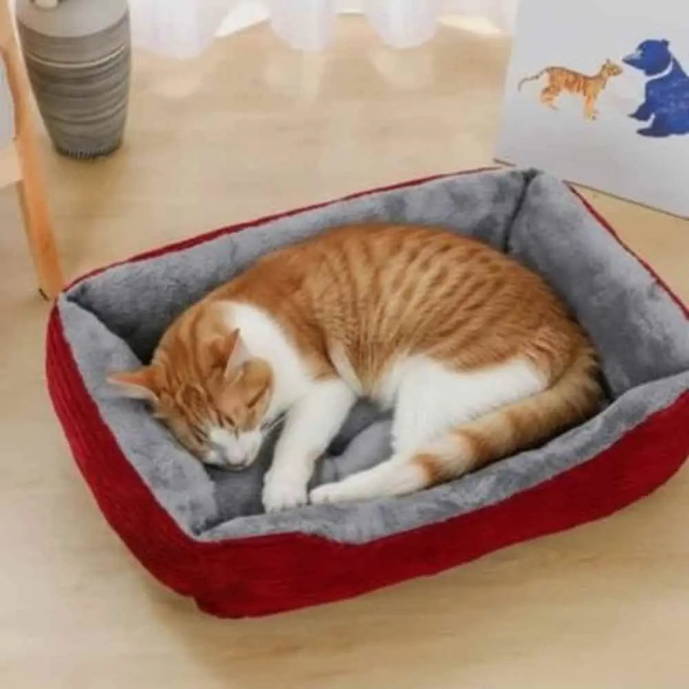 Panier pour chat Douillet rouge avec coussin gris et chat blanc-roux endormi.