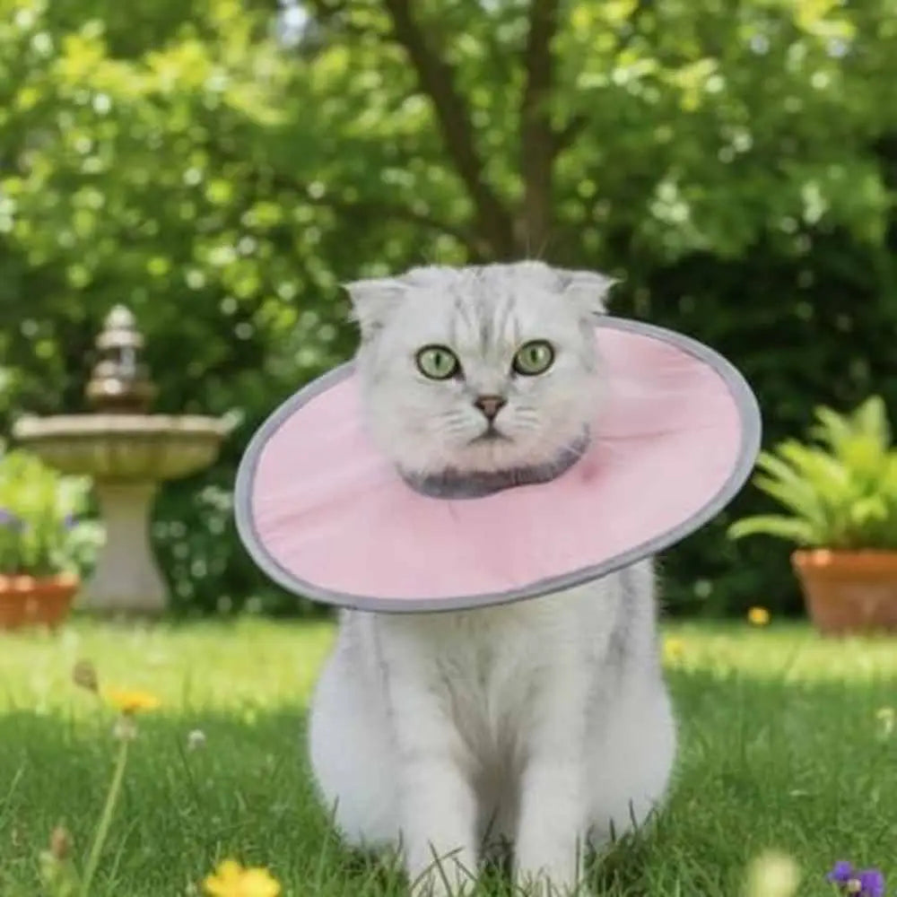 Collerette de protection pour chat rose, collerette ronde en tissu souple.