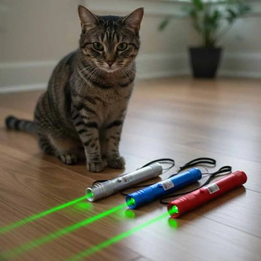 Stylo laser pour chat avec faisceau vert, poignée argentée et corps bleu.