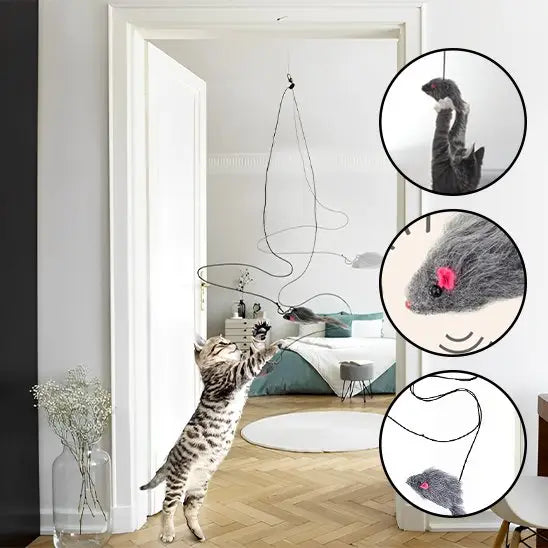 Jouet pour chat interactif: souris grises au nez rose, fils suspendus