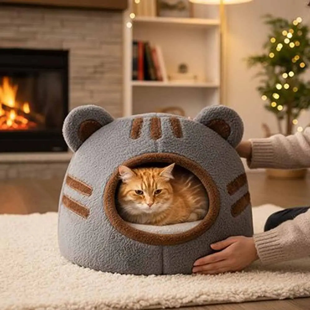 Niche pour chat DreamHaven grise dôme à oreilles, ouverture annulaire, chat orange.