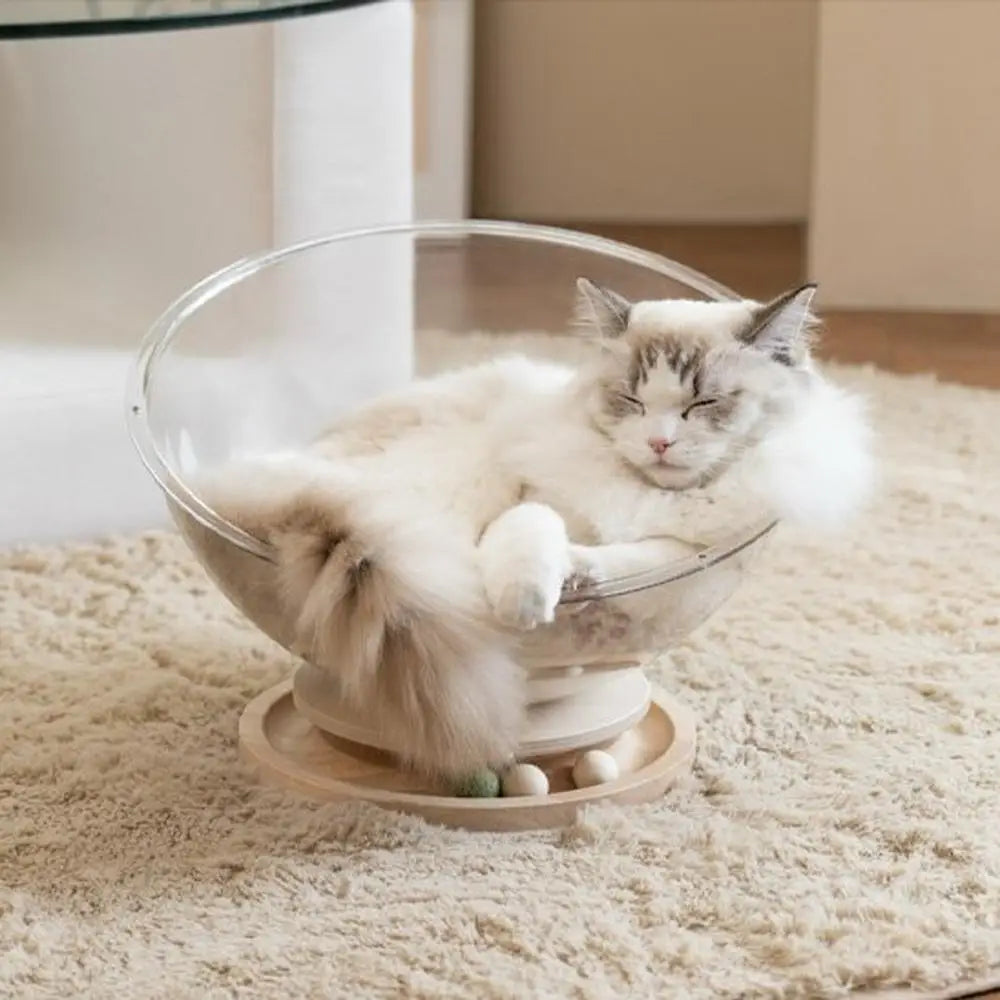 Lit pour chat à dôme transparent, chat gris et blanc assoupi sur coussin crème.