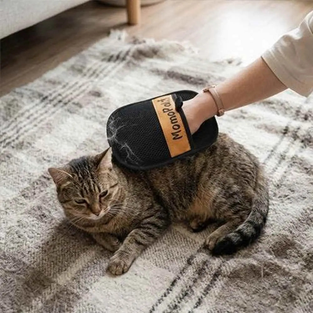 Gant de toilettage noir à poignée, brossage d’un chat sur un tapis.