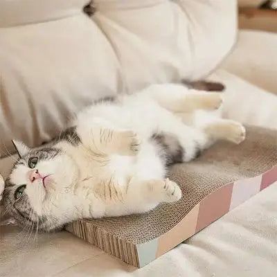 Griffoir pour chat PawComfort avec surface à gratter, chat blanc tigré allongé