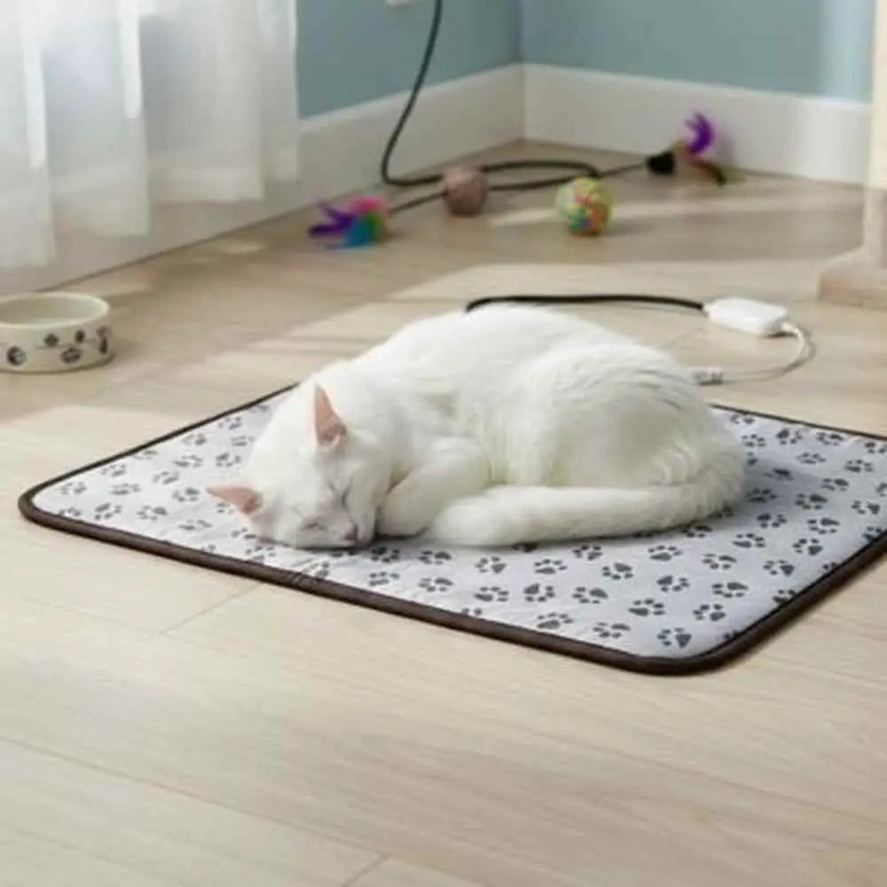 Tapis pour chat gris clair à motif pattes, bordure sombre, chat blanc roulé.