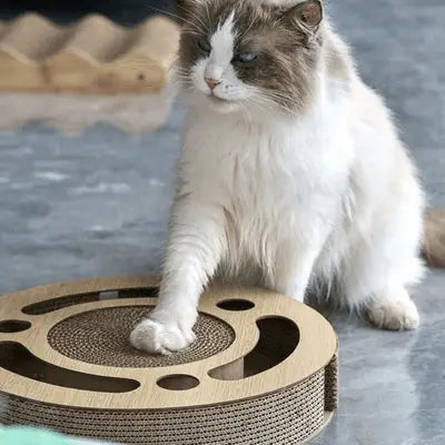 Grattoir chat circulaire beige avec plateau central texturé et bords à rainures.