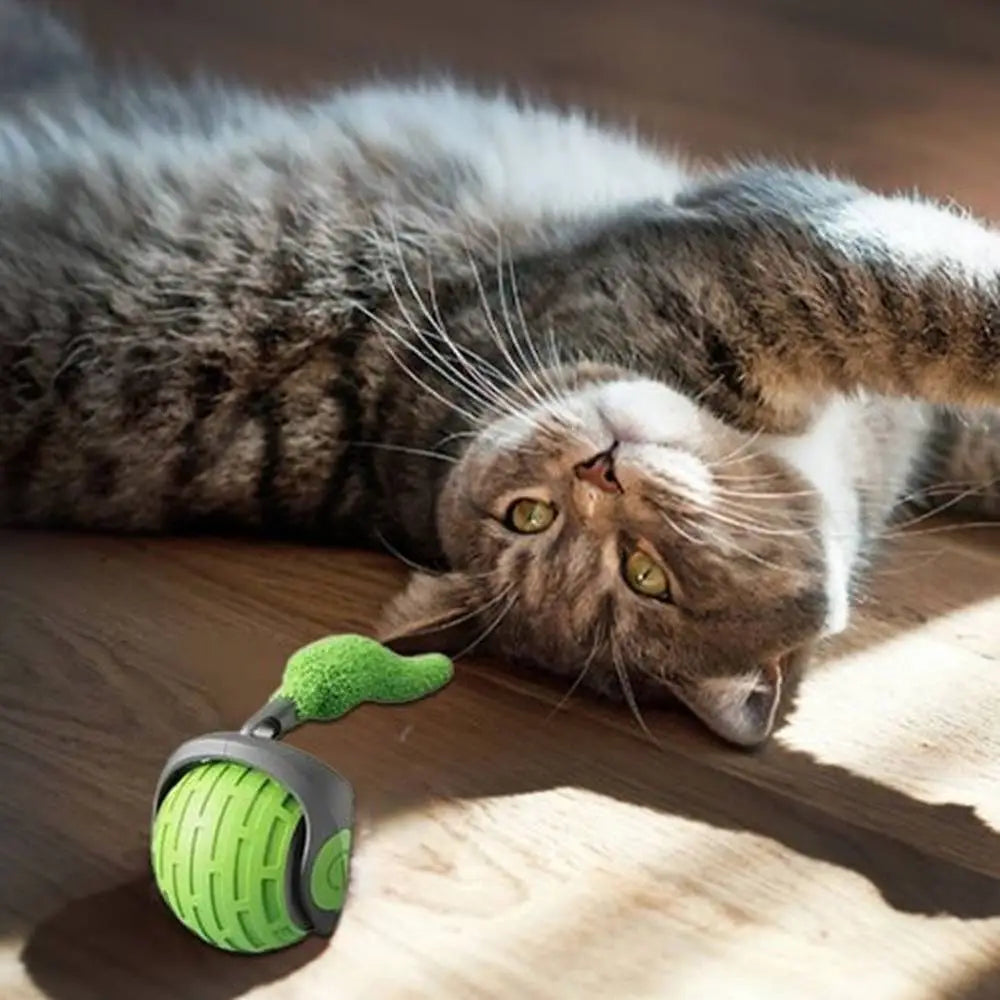 Balle interactive pour chat verte et grise, languette verte