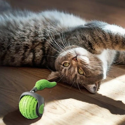 Balle interactive pour chat verte et grise, languette verte