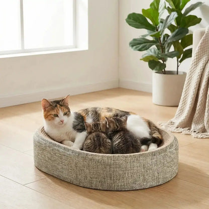 Griffoir ovale 2-en-1 en tissu gris, corbeille pour chat à bords rembourrés