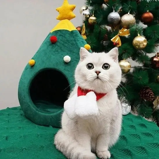 Maison pour chat sapin verte, chat blanc près de l’ouverture, étoile jaune au sommet.
