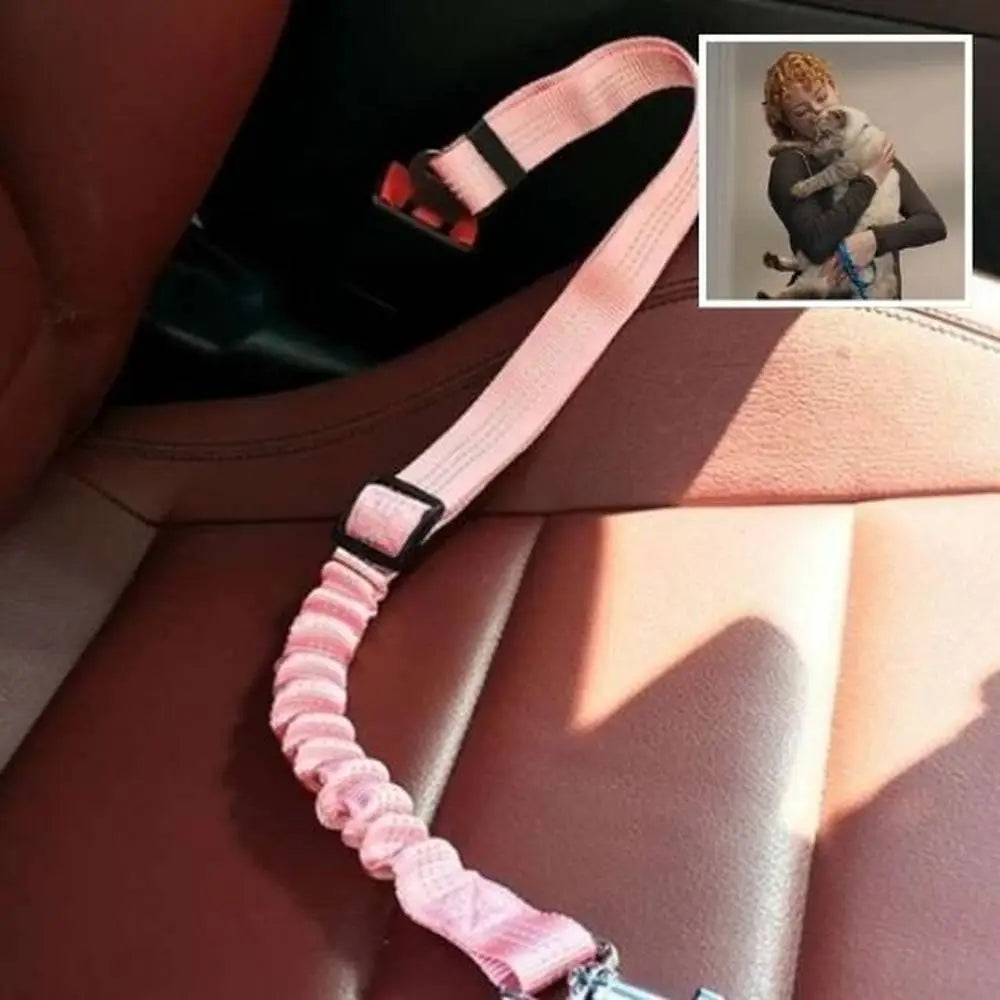 Laisse pour chat rose pâle avec mousqueton métallique, attachée dans la voiture