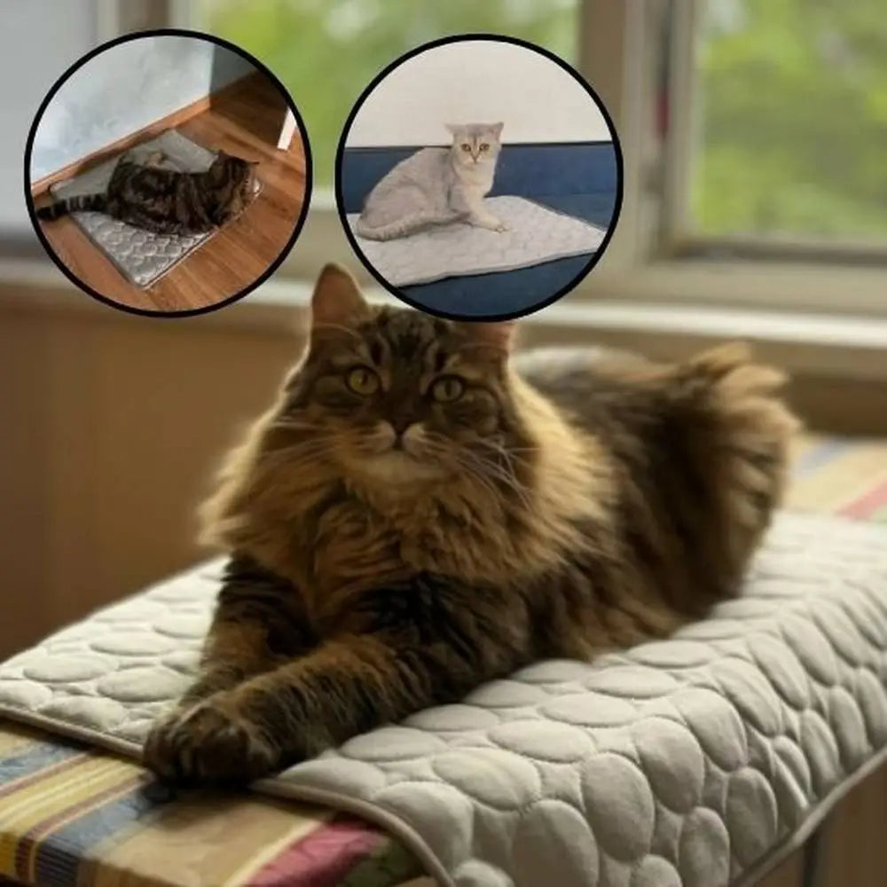Tapis rafraîchissant pour chat clair à relief, avec chat tigré allongé.