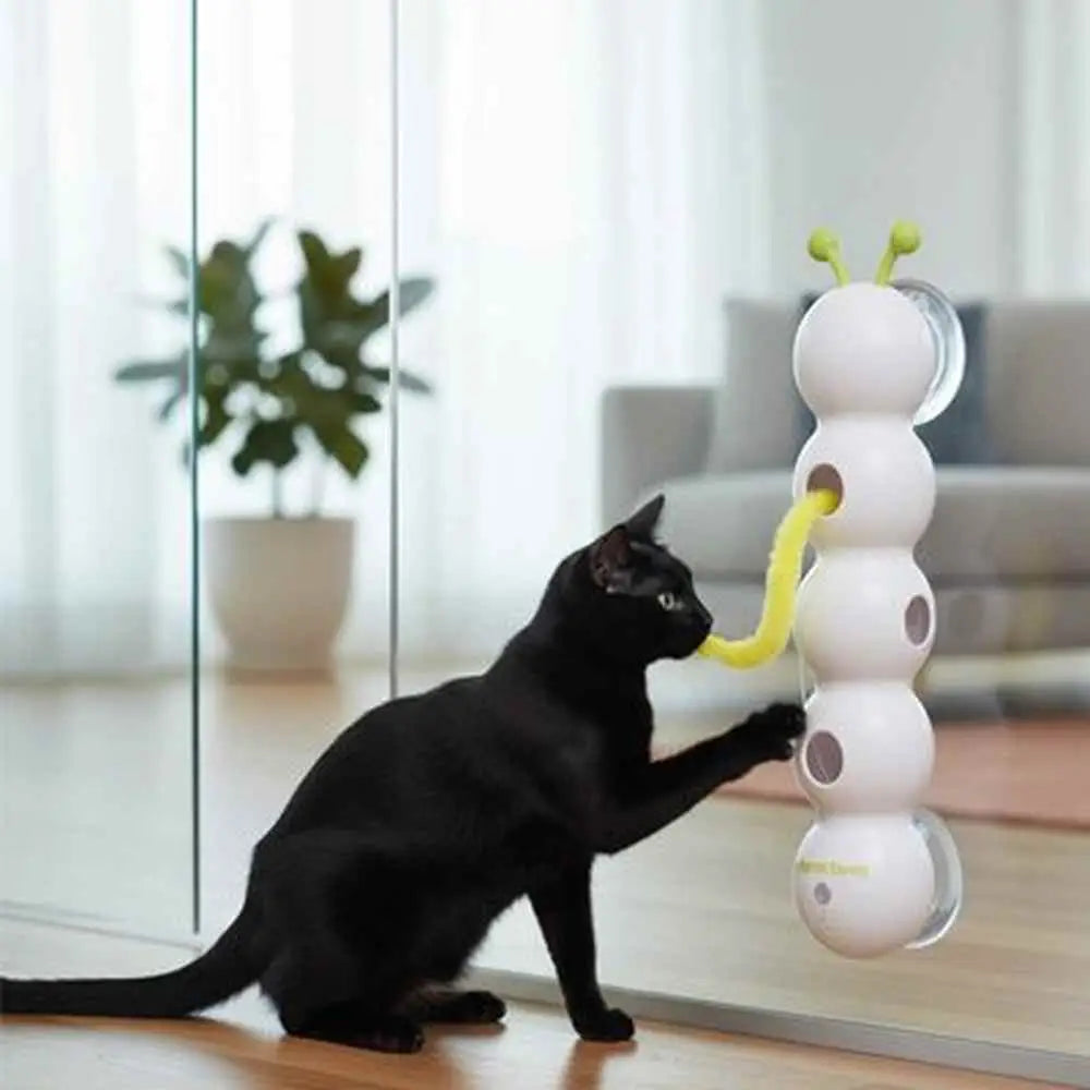 Jouet interactif pour chat blanc aux antennes vertes, chat noir le touche contre une vitre