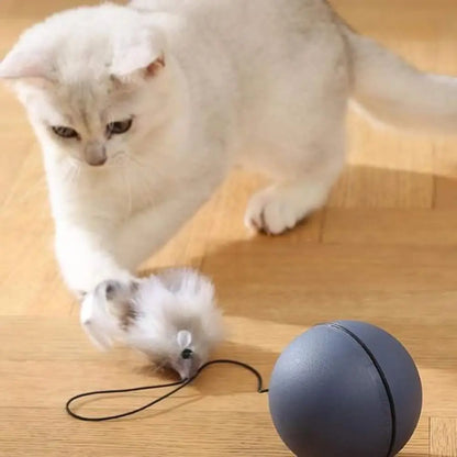 Balle motorisée intelligente pour chat, balle grise avec cordon, chat blanc qui s’approche