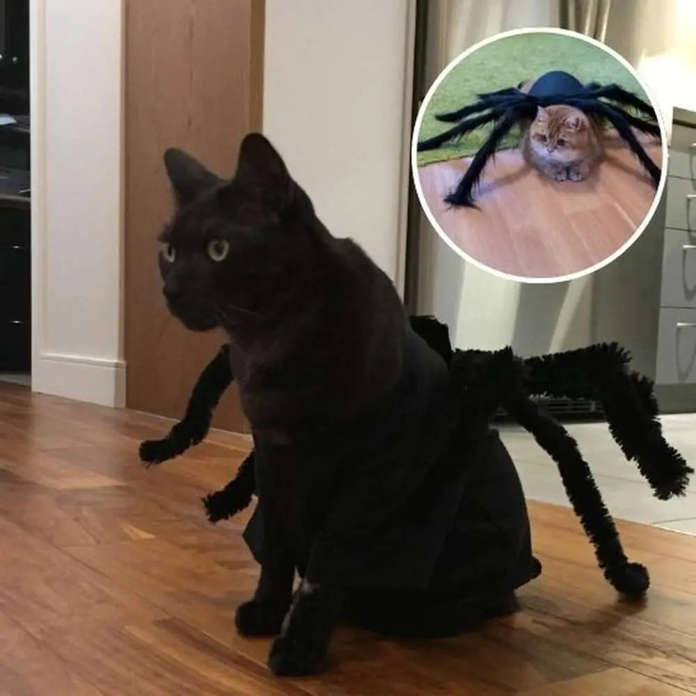 Déguisement pour chat noir à cape et pattes d’araignée en fausse fourrure.