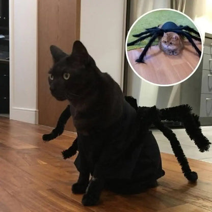 Déguisement pour chat noir à cape et pattes d’araignée en fausse fourrure.