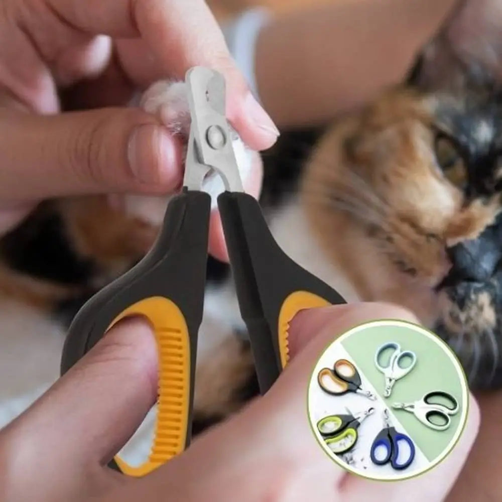 Coupe-griffes pour chat noir et jaune, lame métallique au-dessus d’une patte