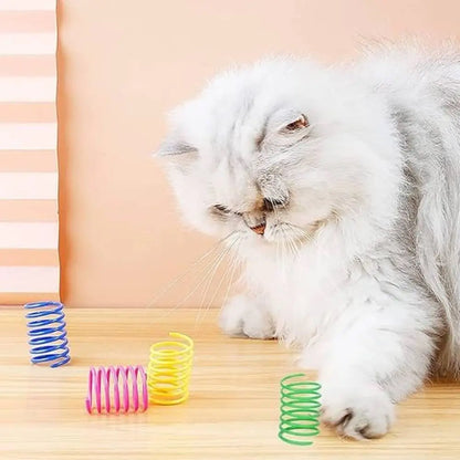 Jeu pour chat: ressorts jaunes, violets, bleus et verts, près du chat