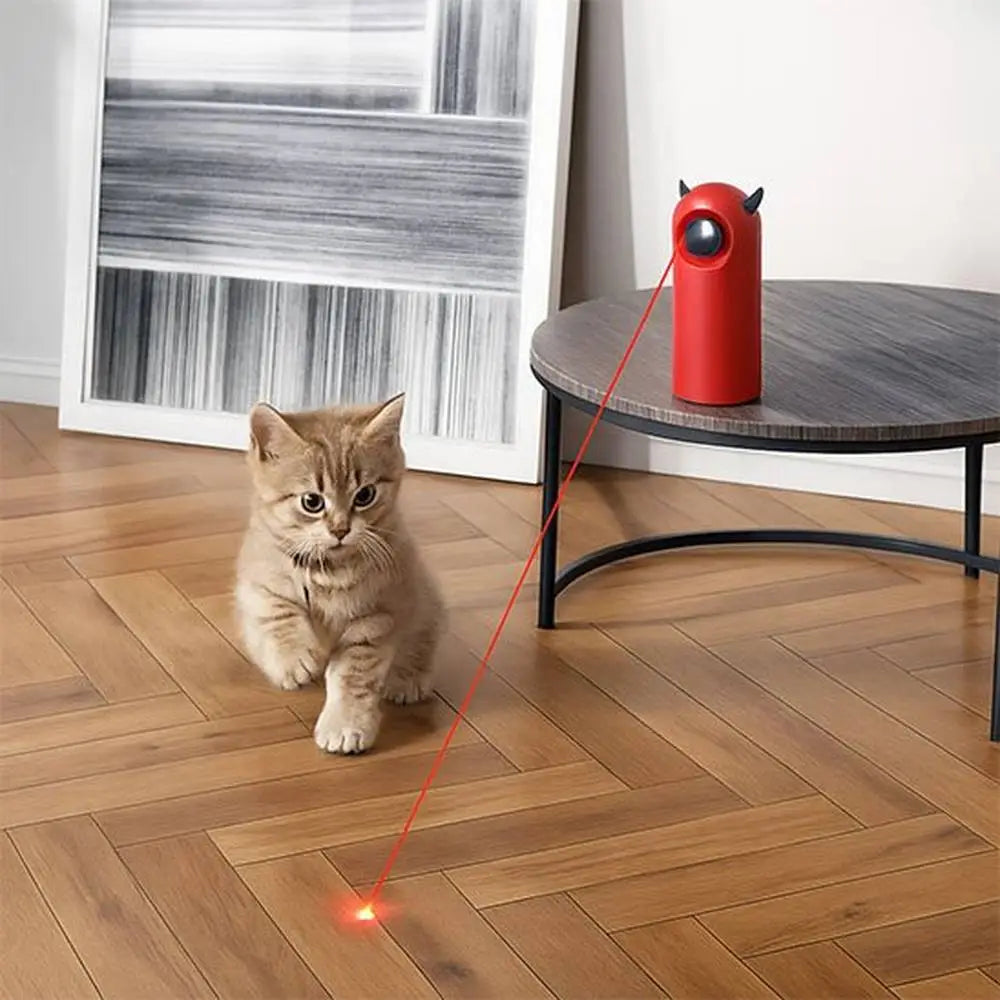 Jouet interactif pour chat PetPlay rouge, projecteur laser à face noire