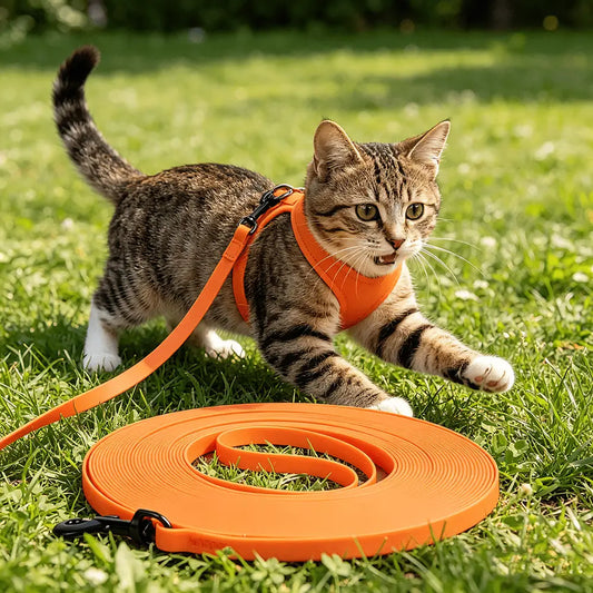Laisse pour chat PVC imperméable orange, sangle longue avec mousqueton noir