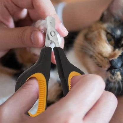 Coupe-griffes pour chat noir et jaune, lame métallique en action sur une griffe