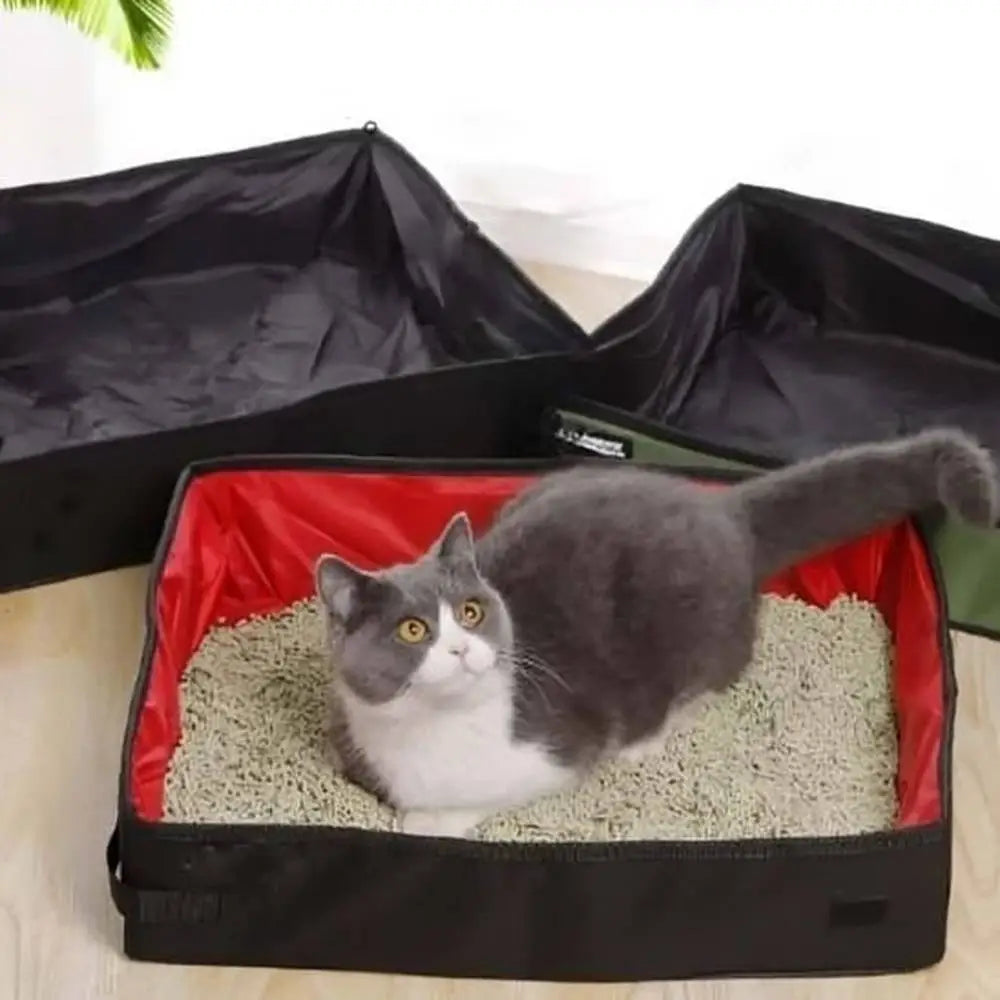 Bac à litière pour chat noir à intérieur rouge, chat gris-blanc dans la litière.
