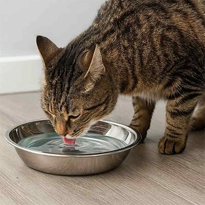 Gamelle chaton en métal antidérapante, eau dans le bol, un chat boit.