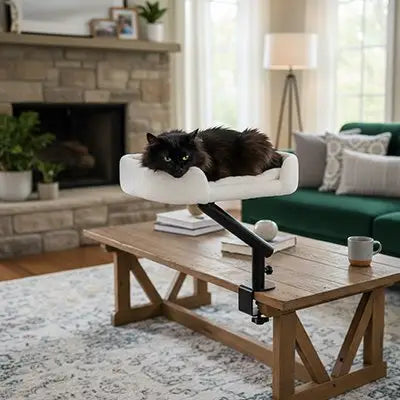 Lit pour chat blanc avec coussin moelleux et support noir fixé au plateau