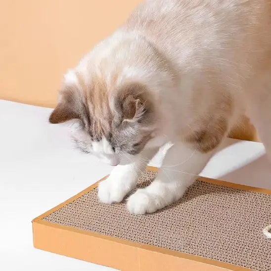 Griffoir pour chat rectangulaire à surface rugueuse brune, chat tigré qui griffe