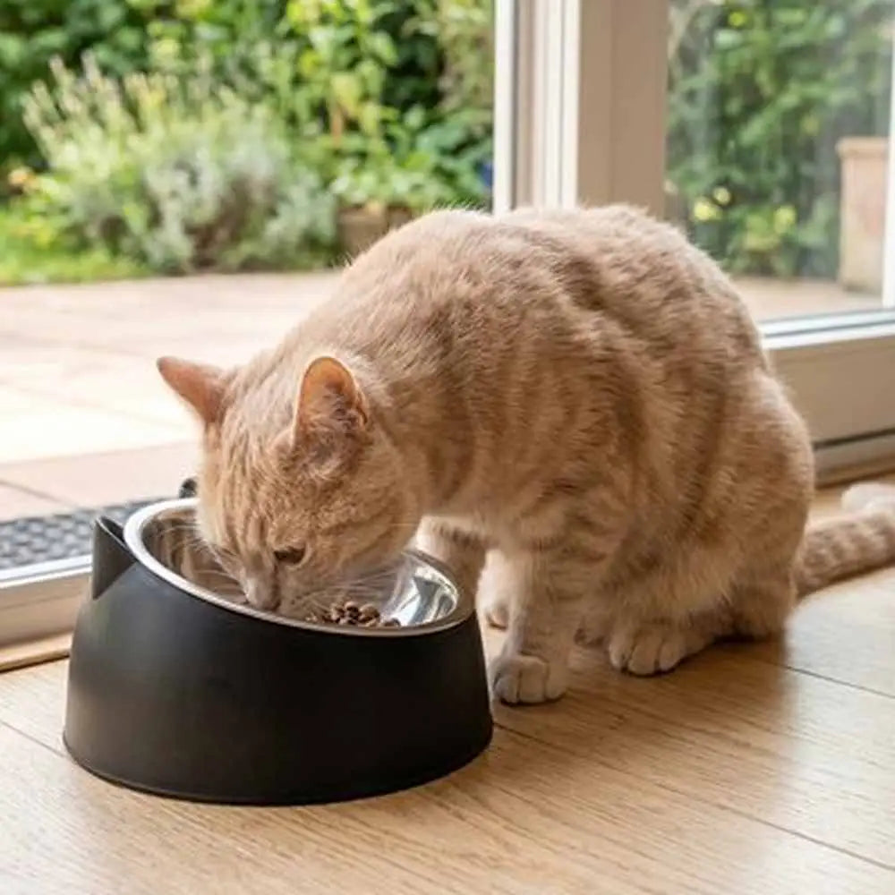Gamelle pour chat noire avec bol inox, bord métallique brillant