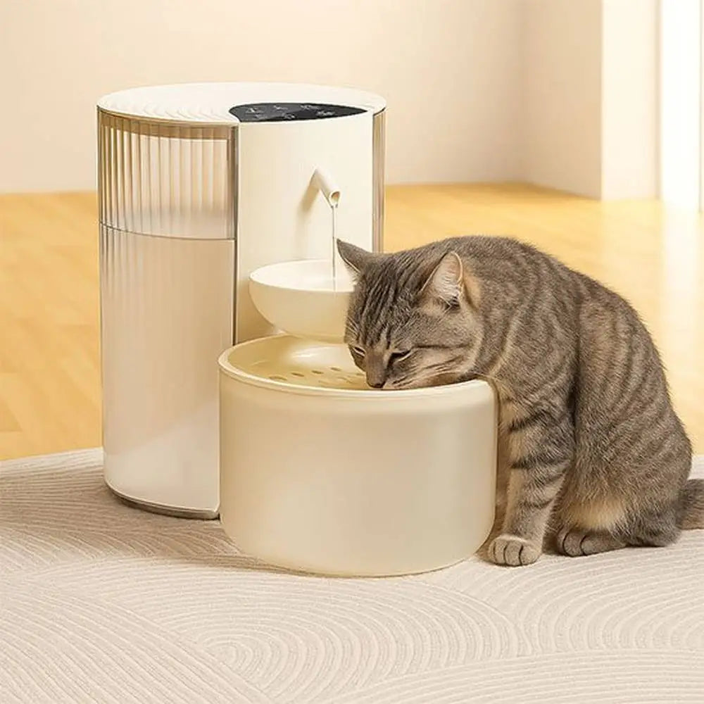 Fontaine à eau pour chat blanche avec récipient translucide et chat gris buvant