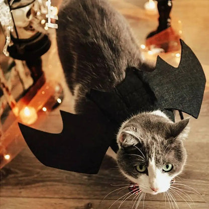 Déguisement de chat StarCostume noir : masque à cornes et ailes sur le côté