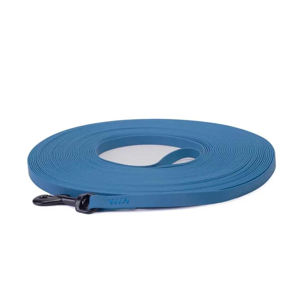 Laisse pour chat PVC imperméable bleue, rouleau de sangle avec mousqueton noir