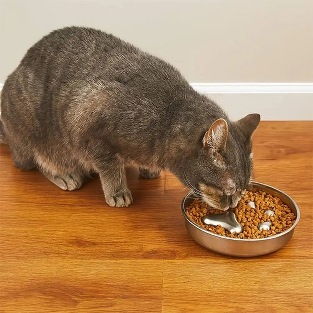 Gamelle anti-glouton pour chat PetSafe en acier, séparateur en forme de vague