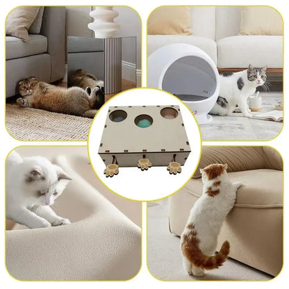 Jouet interactif CatWhack™ en bois clair, plan rapproché du boîtier à trous ronds