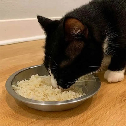 Gamelle chaton en métal antidérapante, nourriture dans le bol, chat près du rebord.