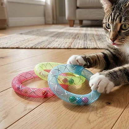 Jeu de bagues en tissu pour chat, anneaux circulaires multicolores