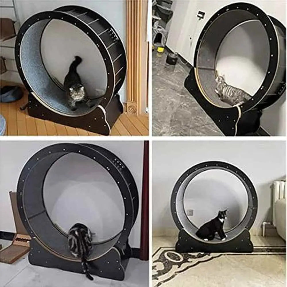 Roue pour chat KittyTread™ noire, jante grise, chats gris et noir à l’intérieur